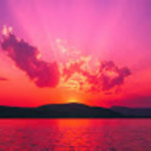 Meet your Posher, Sherry